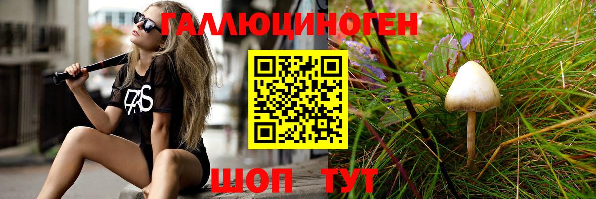 Псилоцибиновые грибы ЛСД  где купить наркоту  Михайловка  Вход с VPN 
